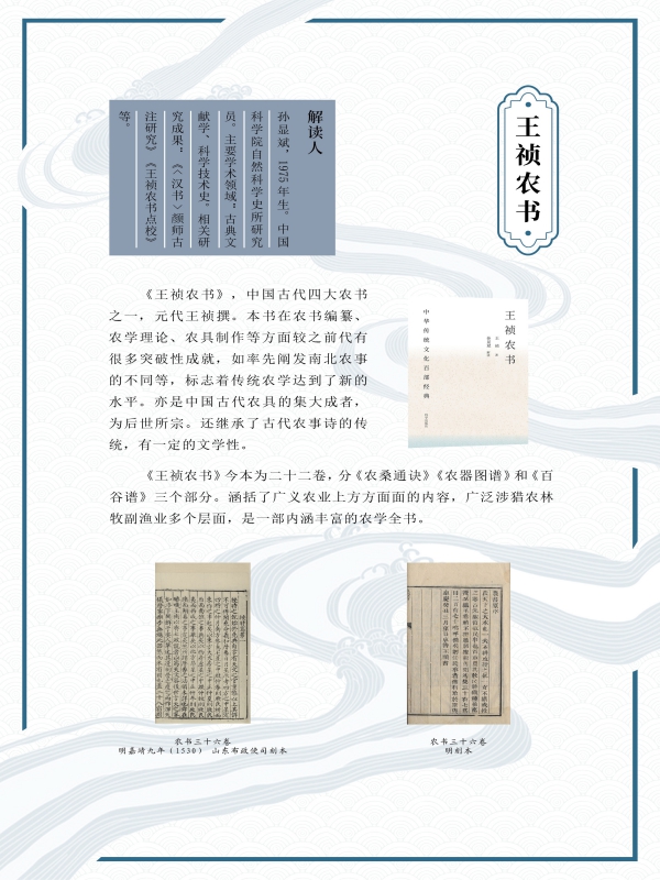 子部12本10.jpg